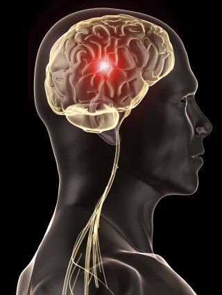 istock photo 제공